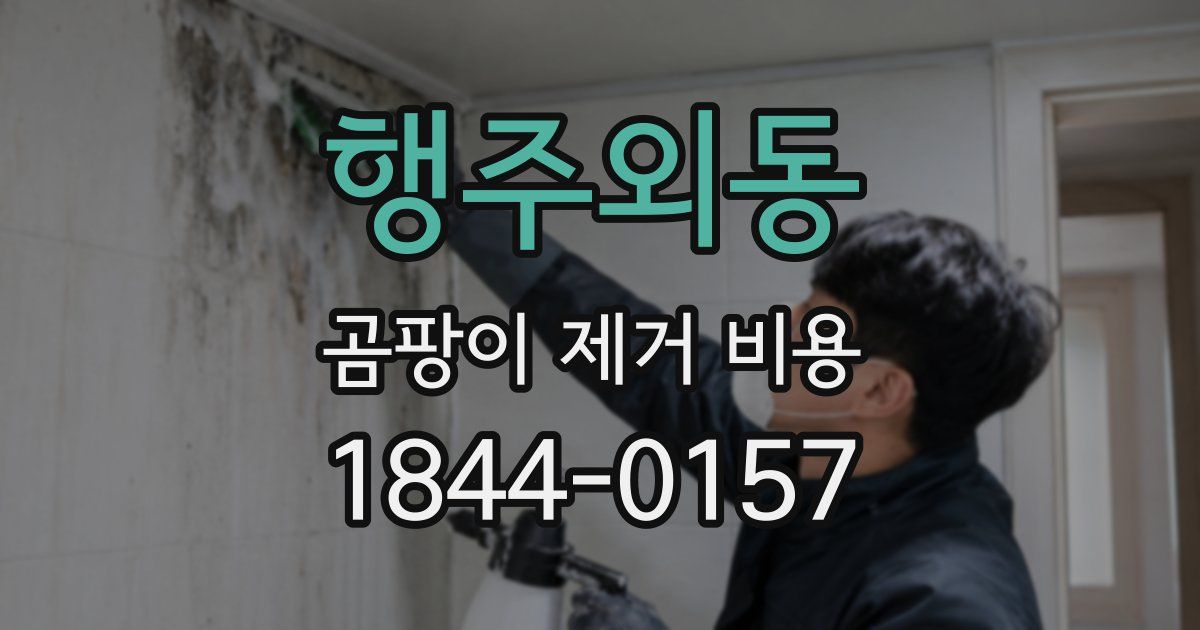 행주외동 곰팡이 제거 비용