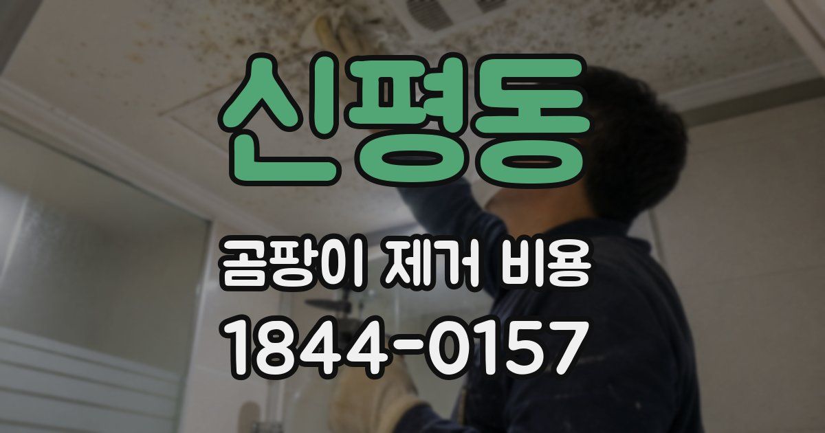 신평동 곰팡이 제거 비용