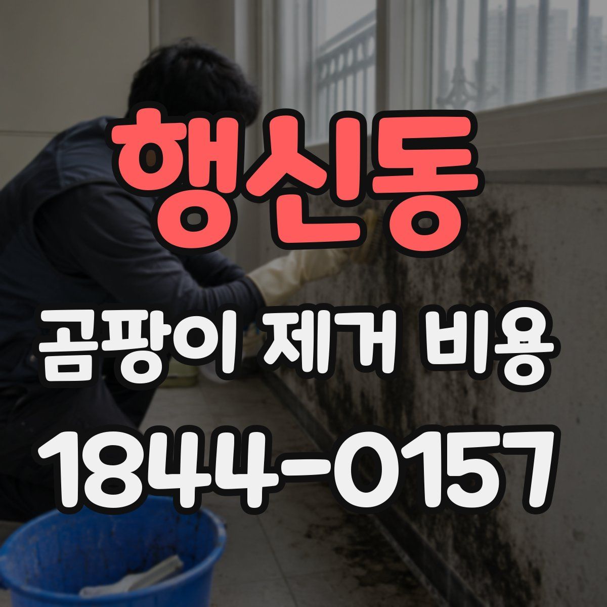 행신동 곰팡이 제거 비용