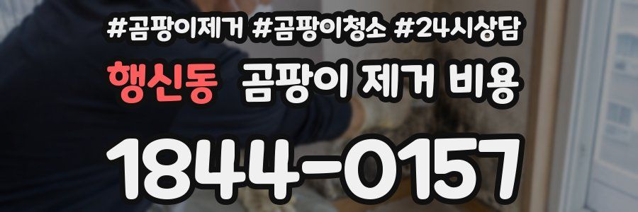 행신동 곰팡이 제거 비용