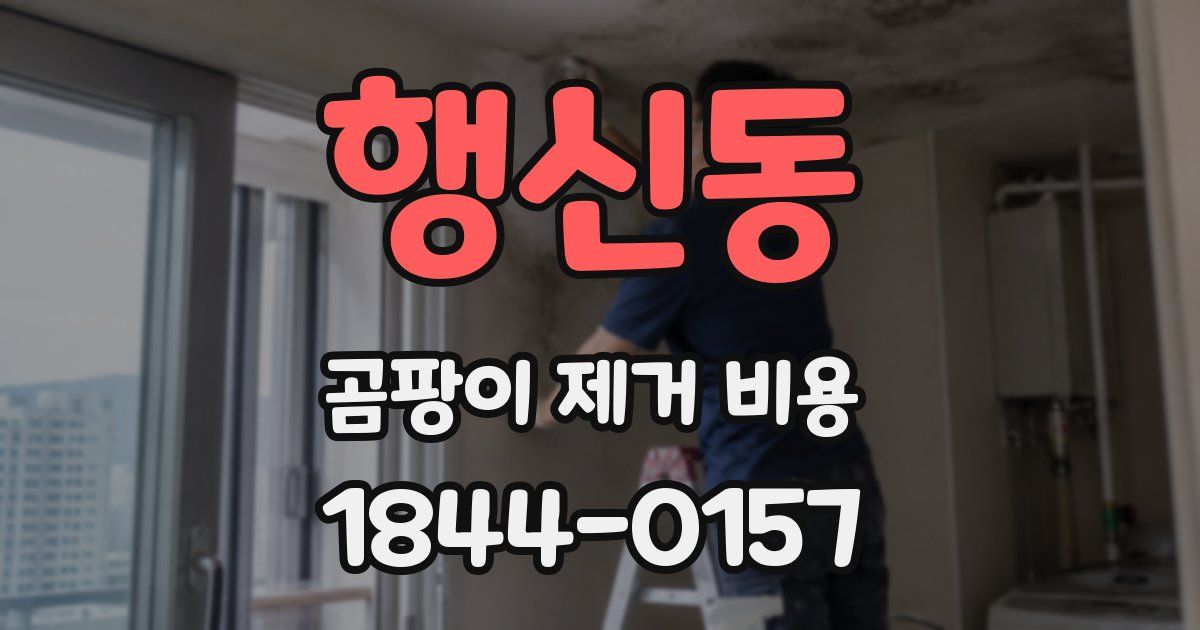 행신동 곰팡이 제거 비용