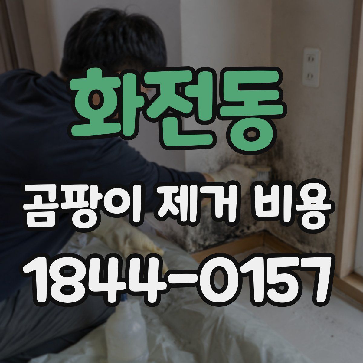 화전동 곰팡이 제거 비용