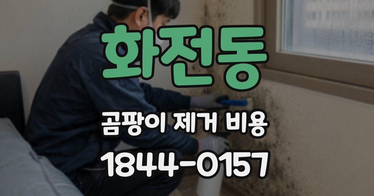 화전동 곰팡이 제거 비용