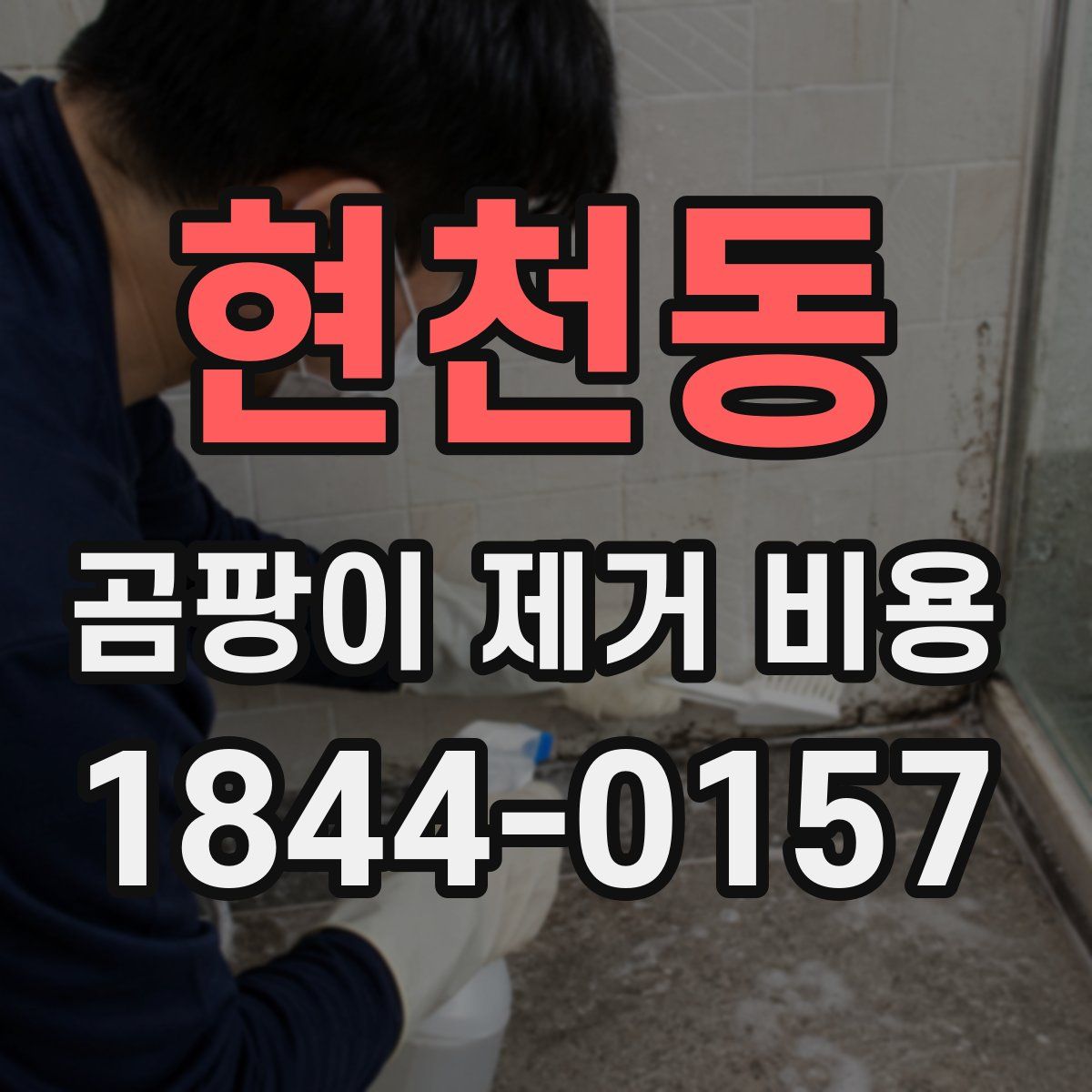 현천동 곰팡이 제거 비용