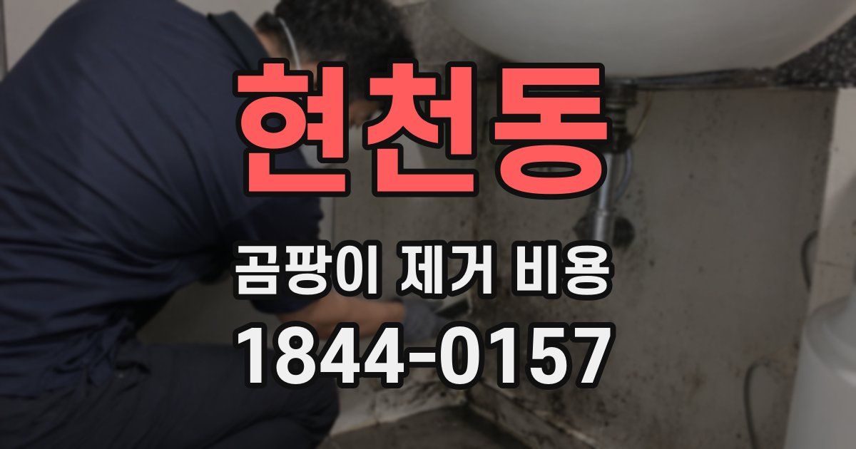 현천동 곰팡이 제거 비용