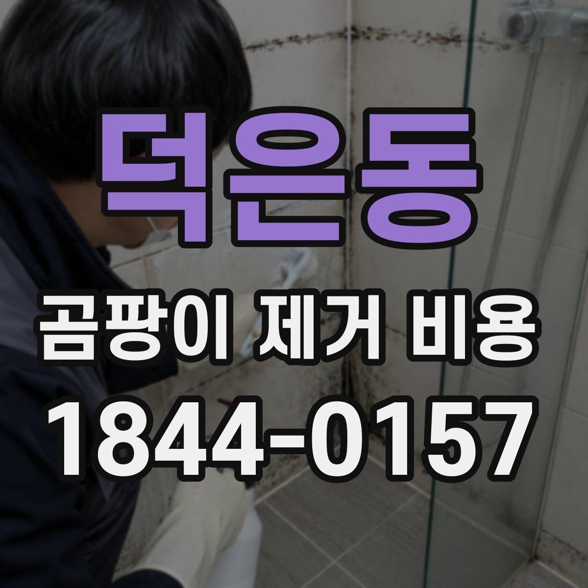 덕은동 곰팡이 제거 비용