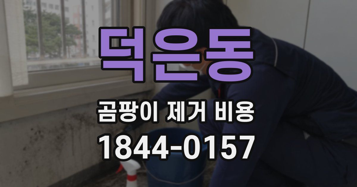덕은동 곰팡이 제거 비용