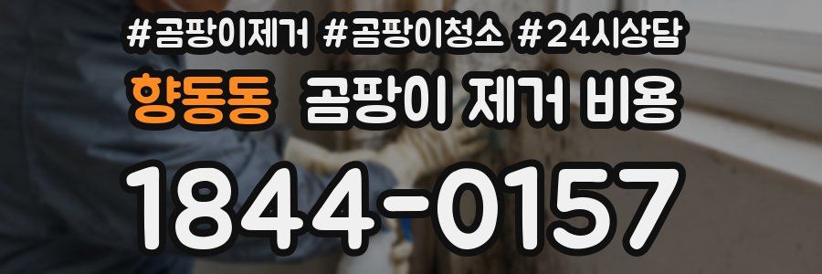 향동동 곰팡이 제거 비용