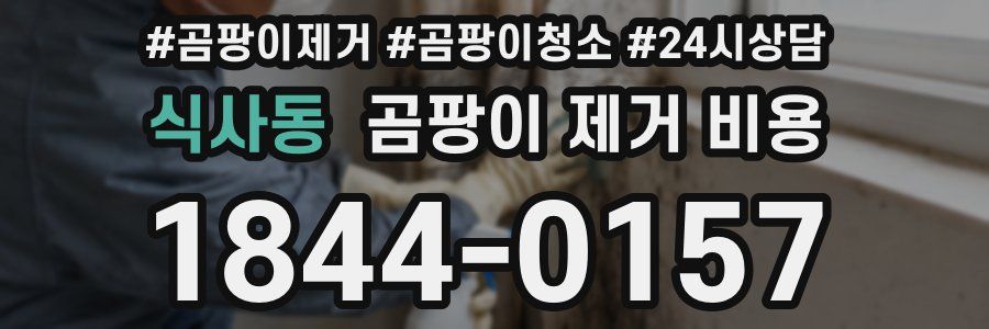 식사동 곰팡이 제거 비용
