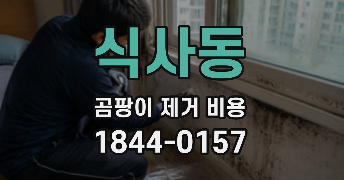 식사동 곰팡이 제거 비용