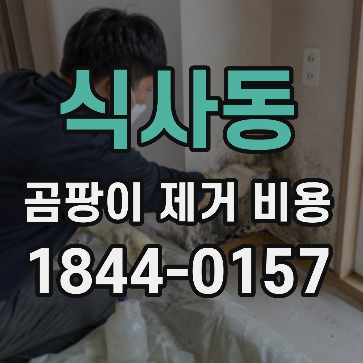 식사동 곰팡이 제거 비용