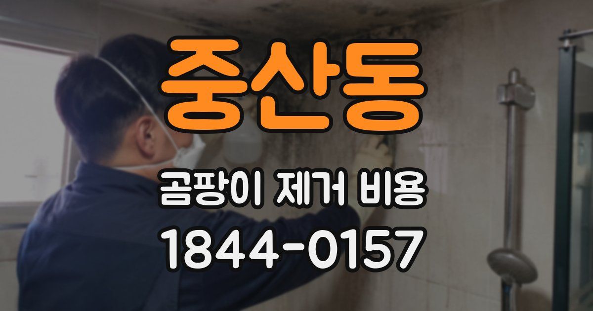 중산동 곰팡이 제거 비용