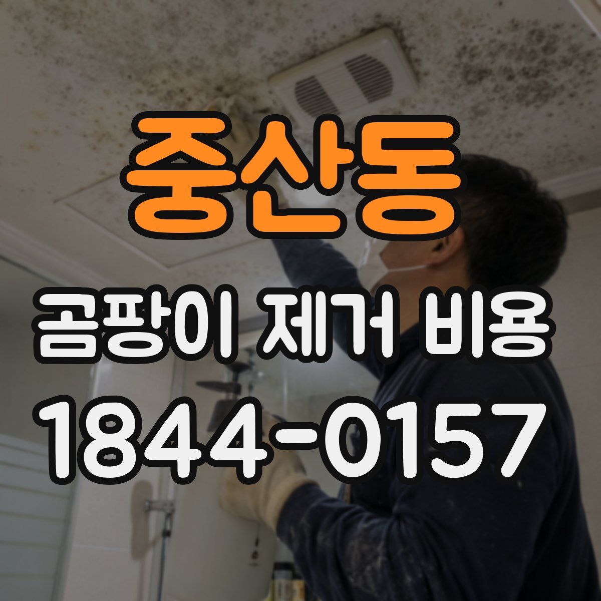 중산동 곰팡이 제거 비용