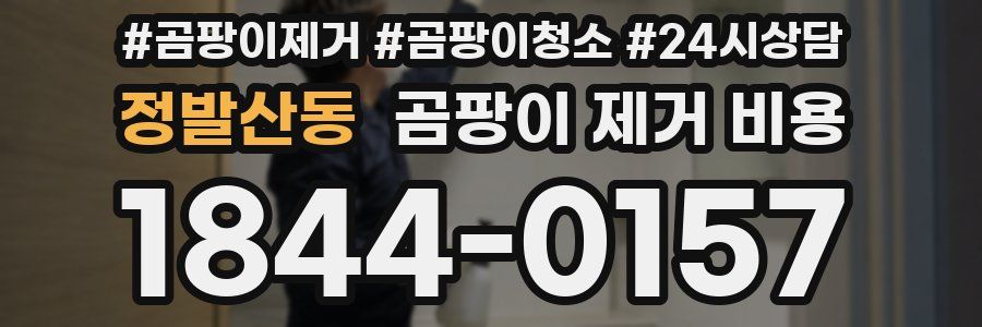 정발산동 곰팡이 제거 비용