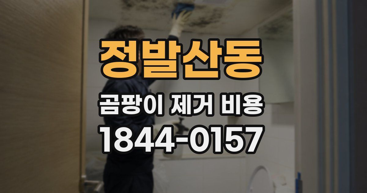 정발산동 곰팡이 제거 비용