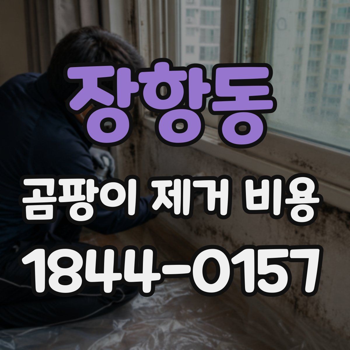 장항동 곰팡이 제거 비용 욕실 천장 오염이 넓을 때 살펴볼 항목