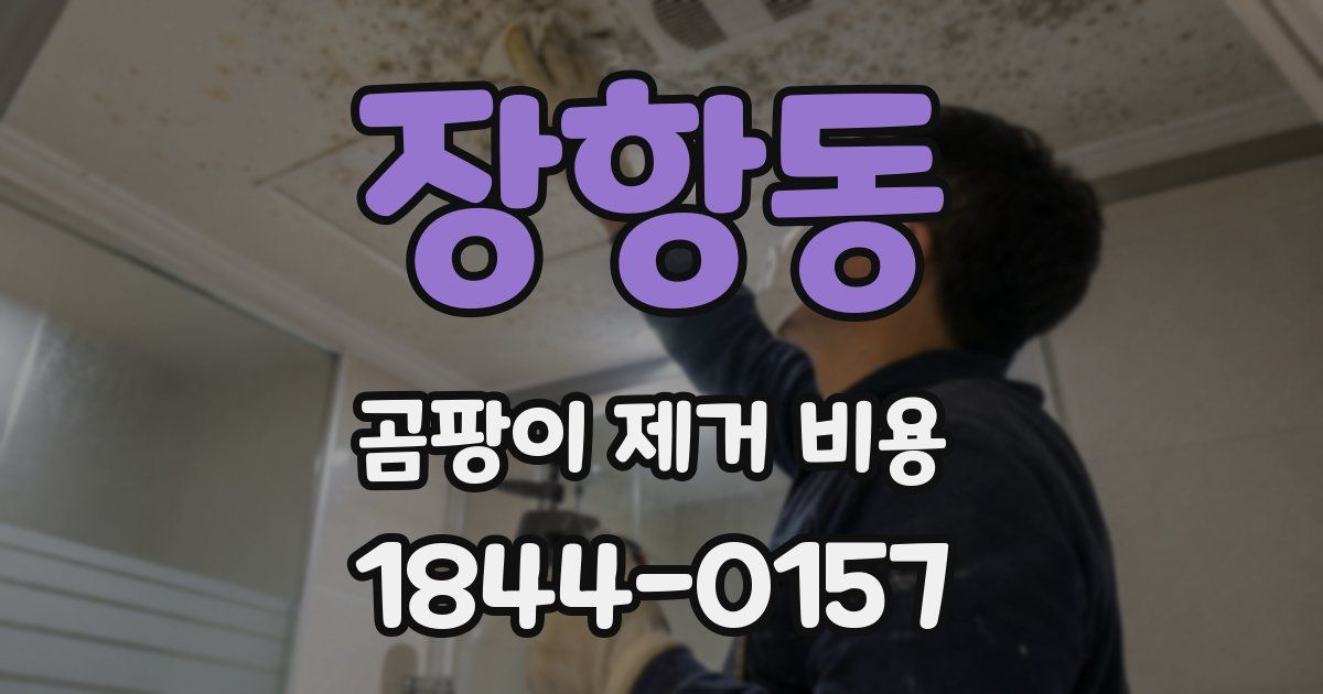 장항동 곰팡이 제거 비용