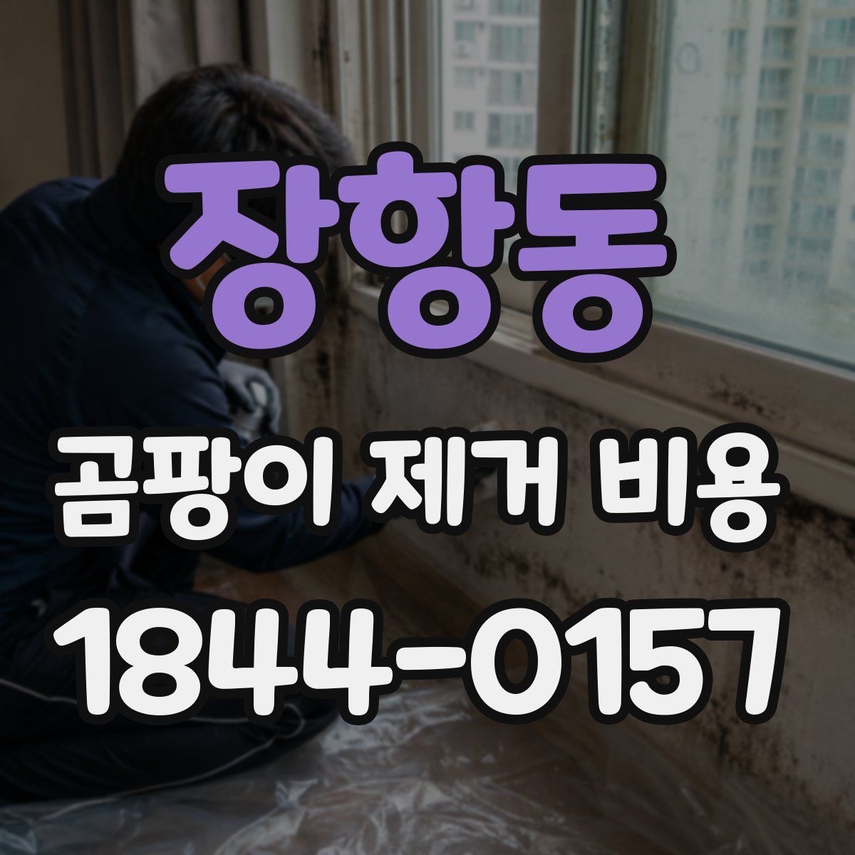 장항동 곰팡이 제거 비용