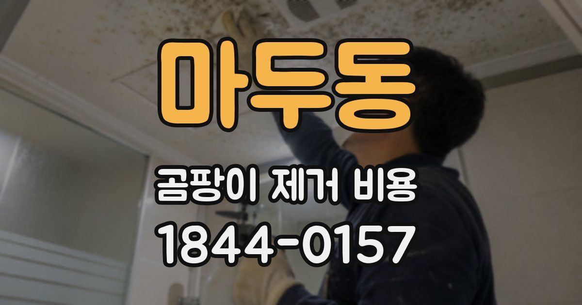 마두동 곰팡이 제거 비용