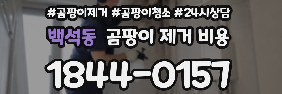 백석동 곰팡이 제거 비용