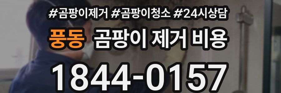 풍동 곰팡이 제거 비용