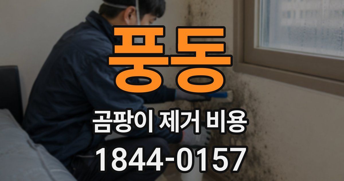 풍동 곰팡이 제거 비용