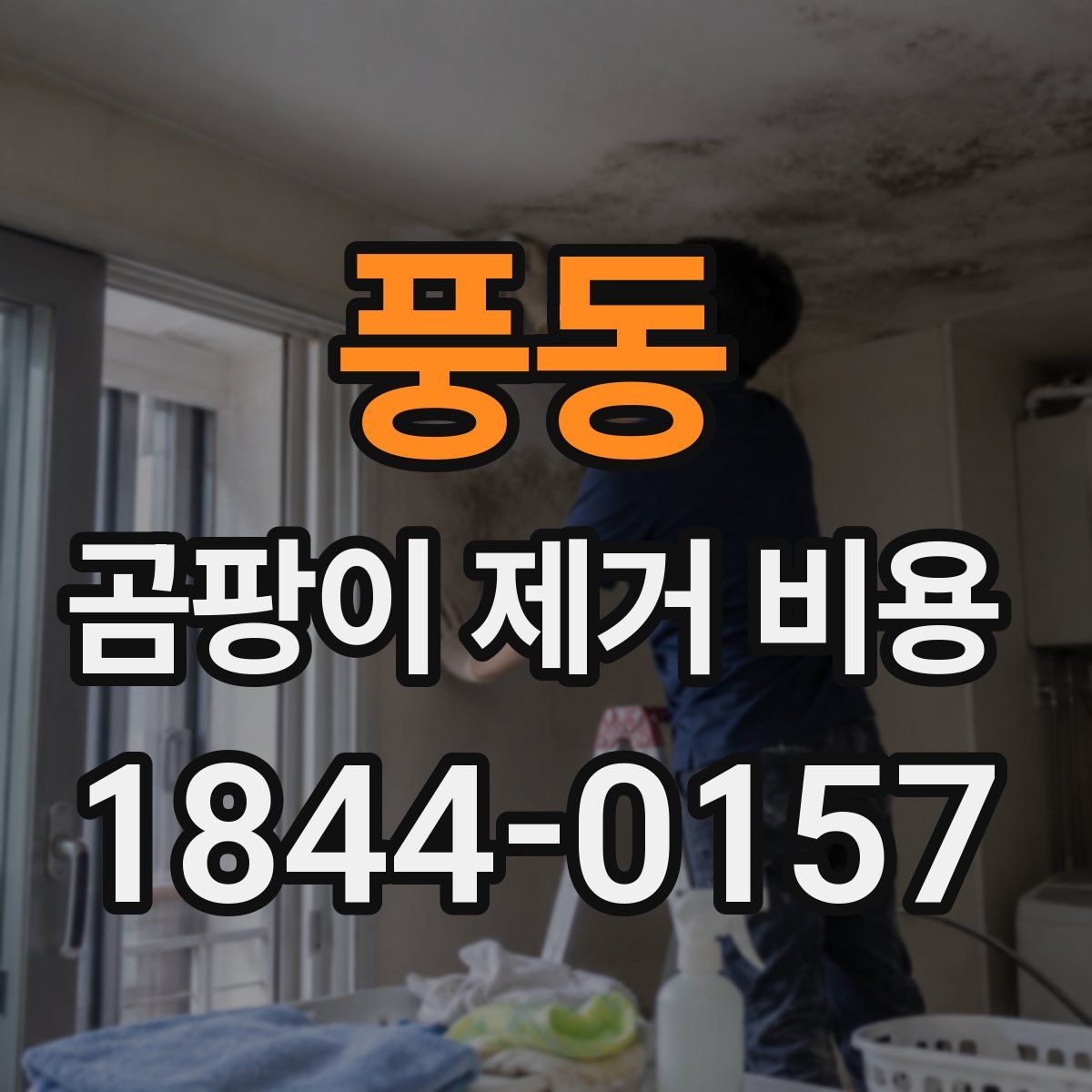 풍동 곰팡이 제거 비용