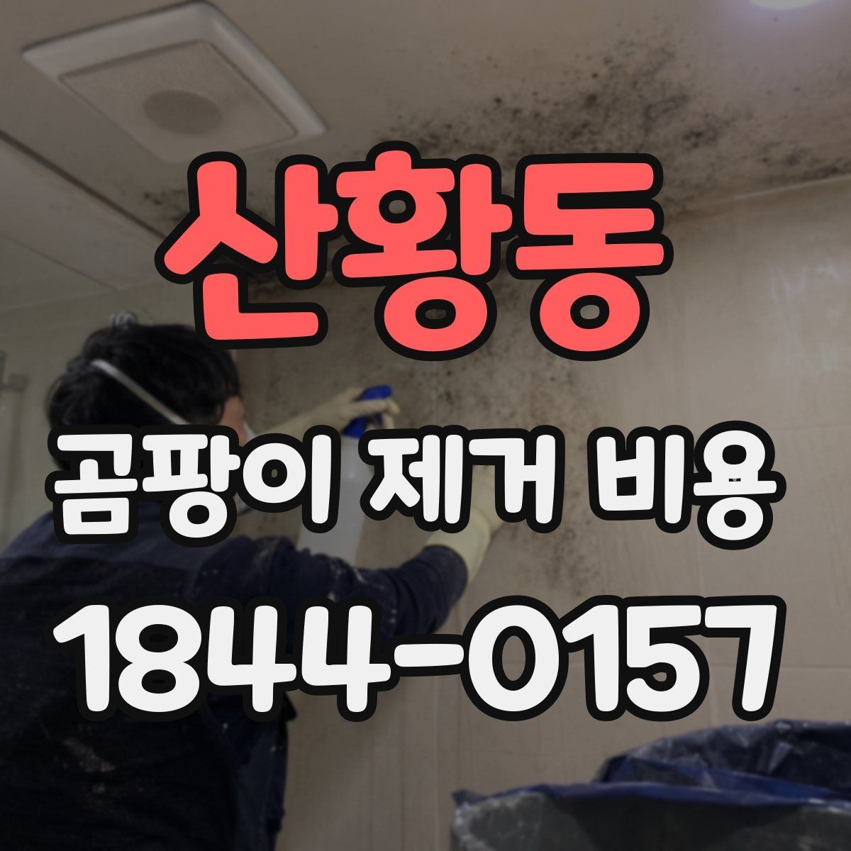 산황동 곰팡이 제거 비용 세대 내부와 공용부 조건이 다른 경우