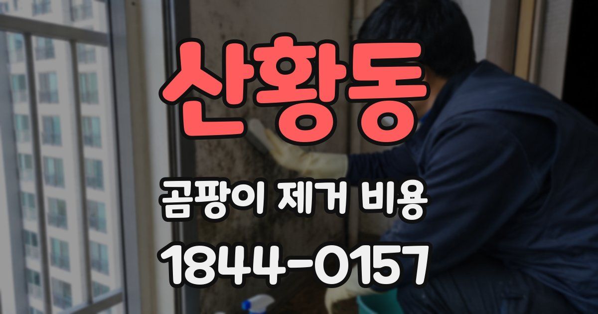 산황동 곰팡이 제거 비용