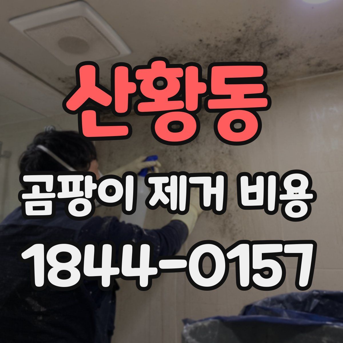산황동 곰팡이 제거 비용