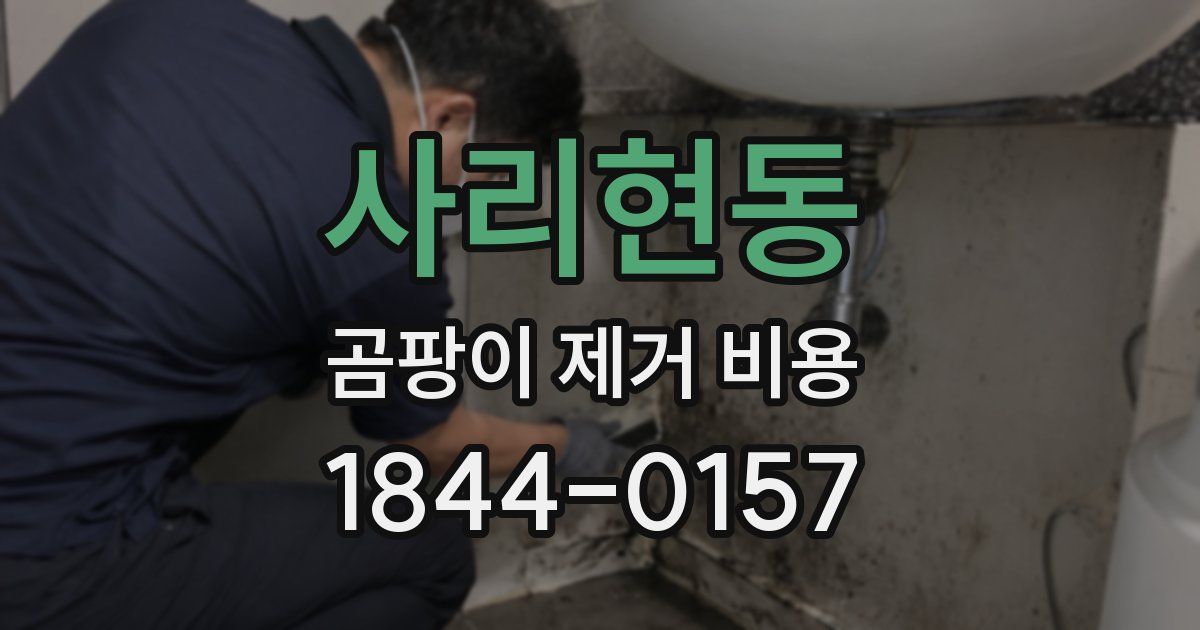 사리현동 곰팡이 제거 비용