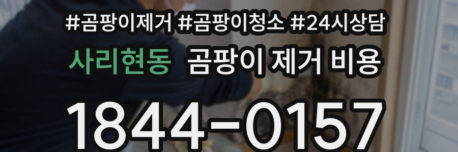 사리현동 곰팡이 제거 비용