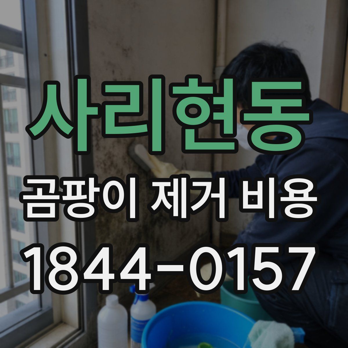 사리현동 곰팡이 제거 비용
