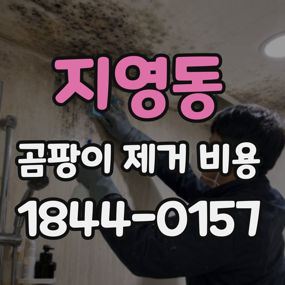 지영동 곰팡이 제거 비용