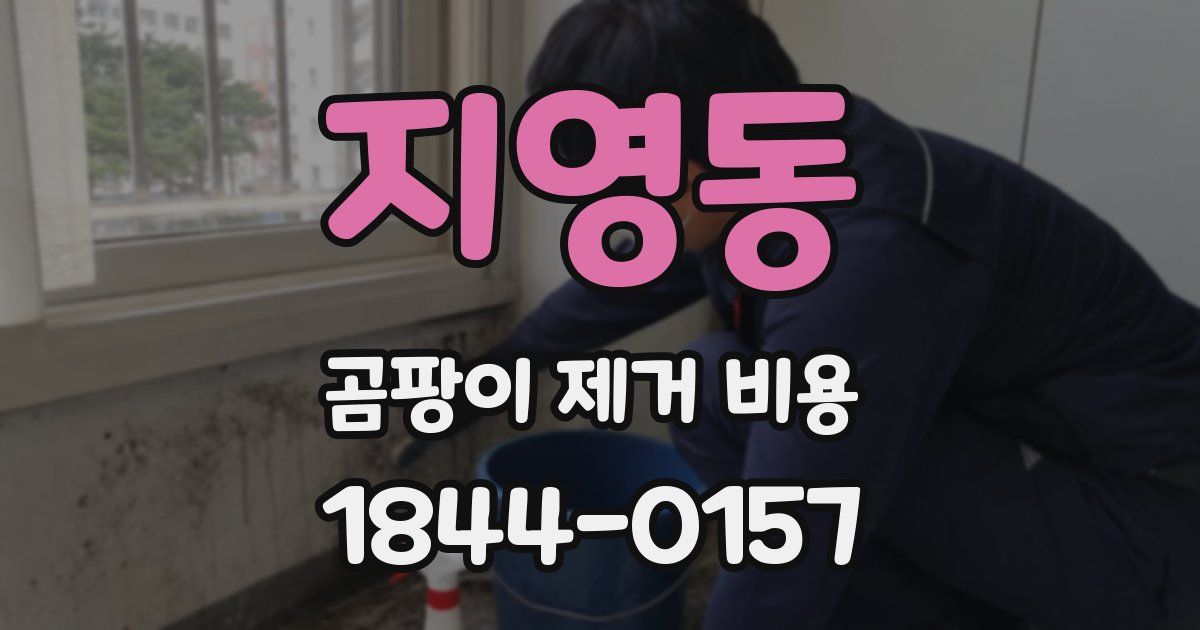 지영동 곰팡이 제거 비용