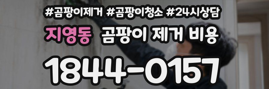 지영동 곰팡이 제거 비용