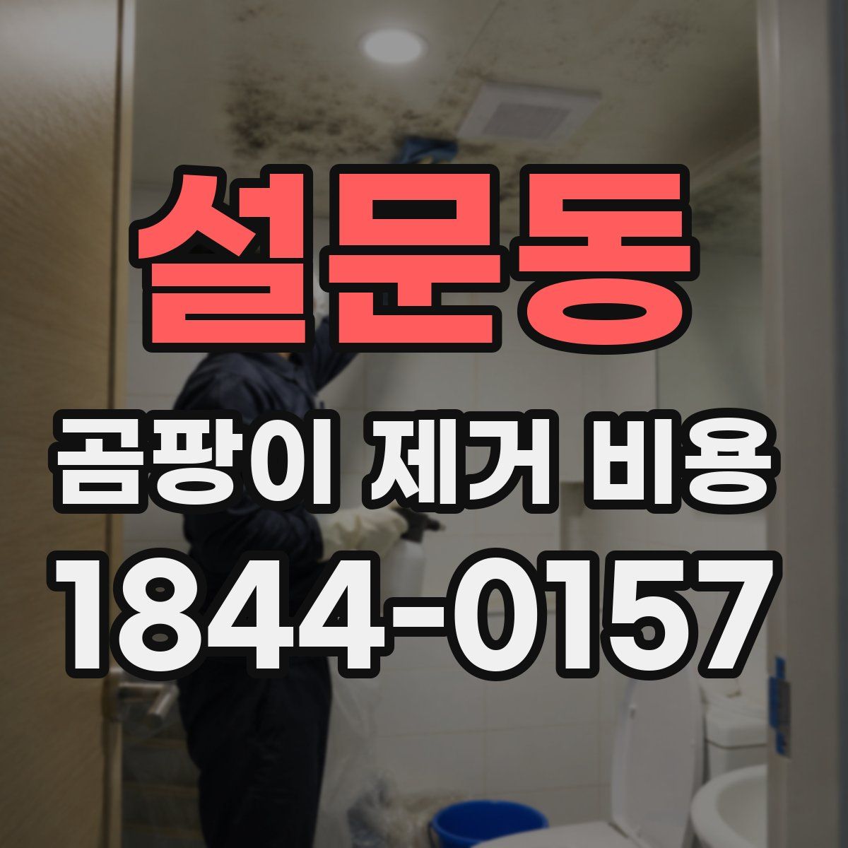 설문동 곰팡이 제거 비용