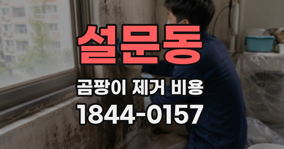 설문동 곰팡이 제거 비용