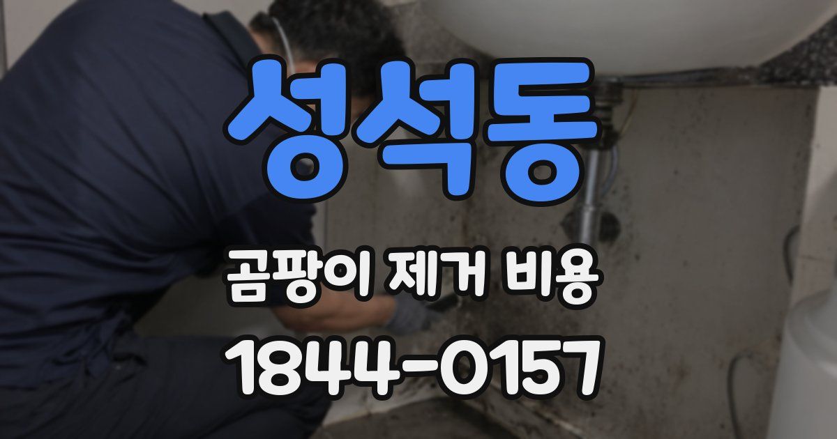 성석동 곰팡이 제거 비용