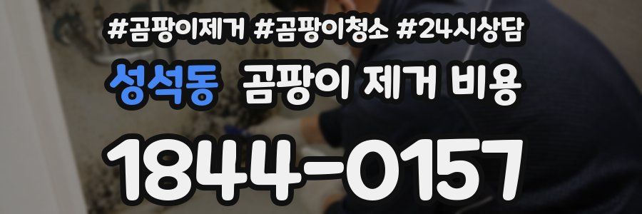 성석동 곰팡이 제거 비용