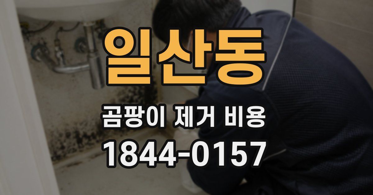 일산동 곰팡이 제거 비용