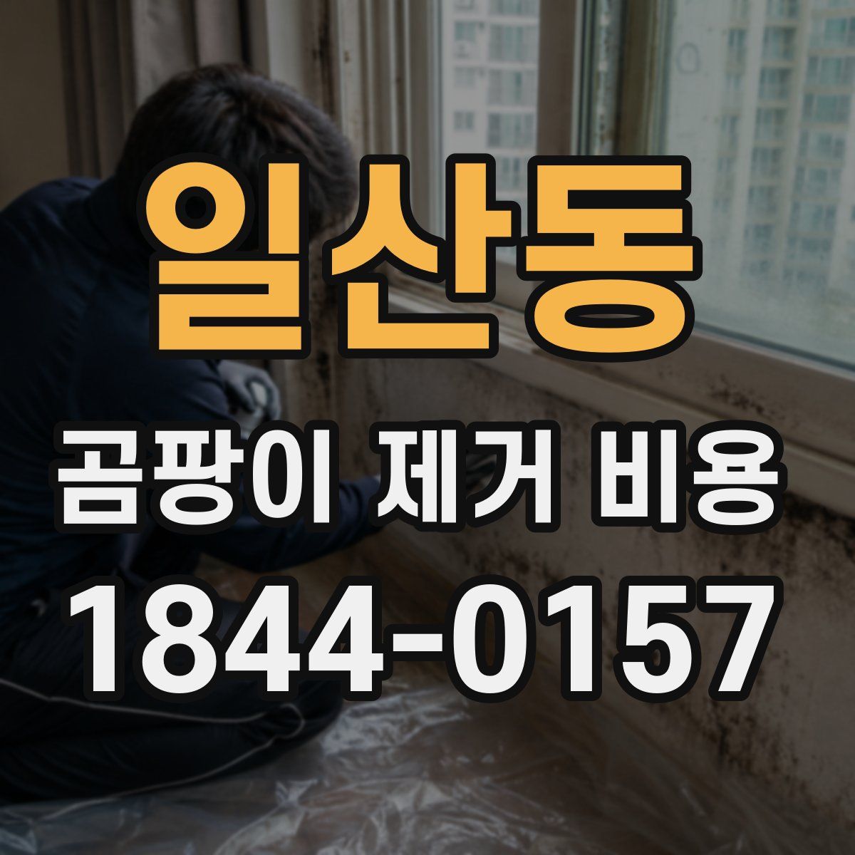 일산동 곰팡이 제거 비용