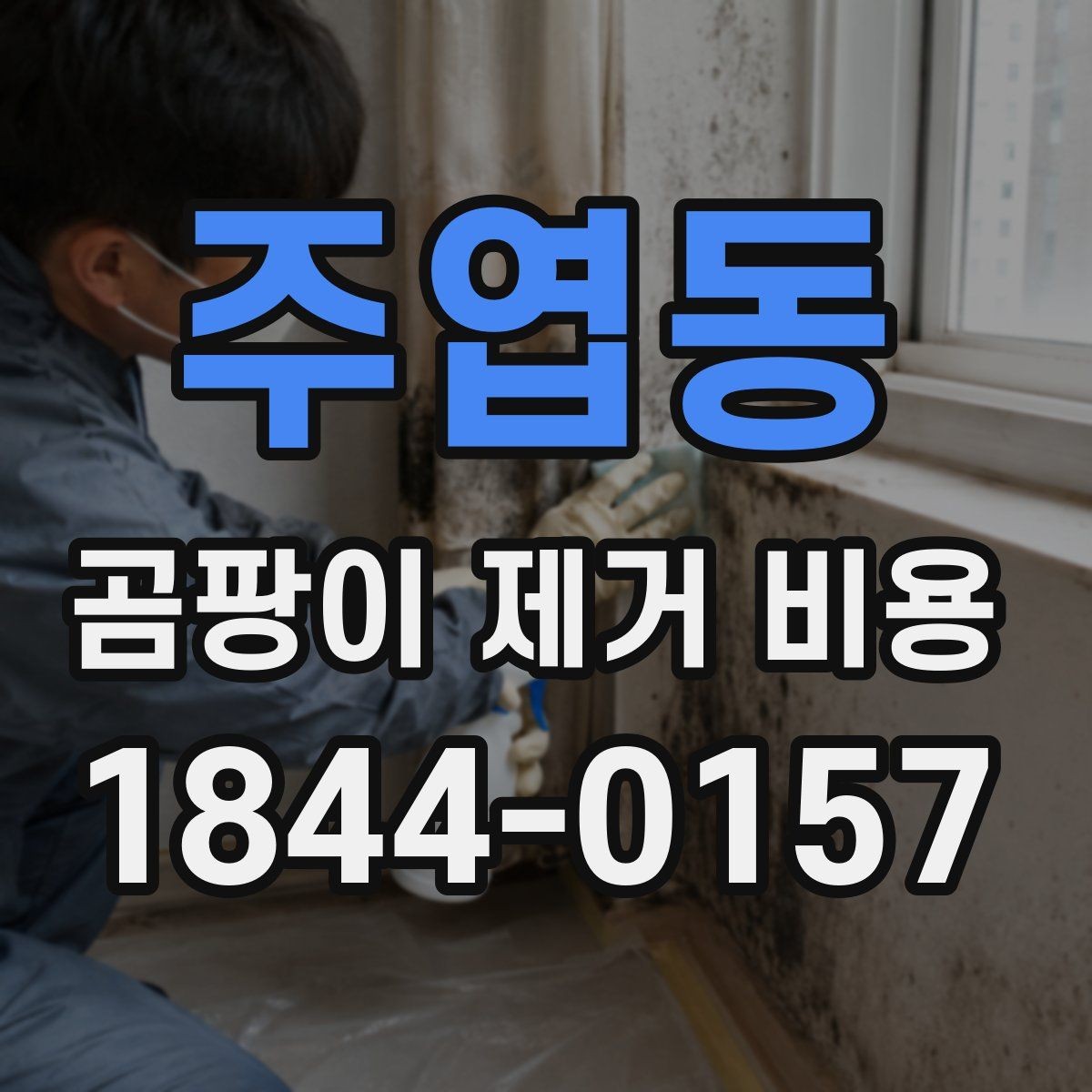 주엽동 곰팡이 제거 비용 가구 이동 및 현장 보양이 포함될 때 달라지는 금액