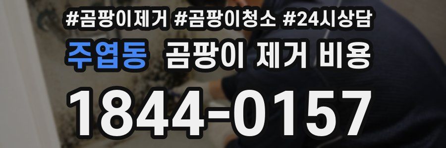 주엽동 곰팡이 제거 비용