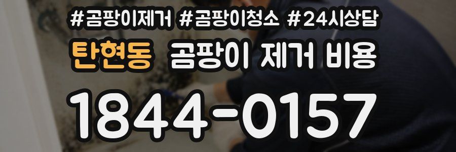 탄현동 곰팡이 제거 비용