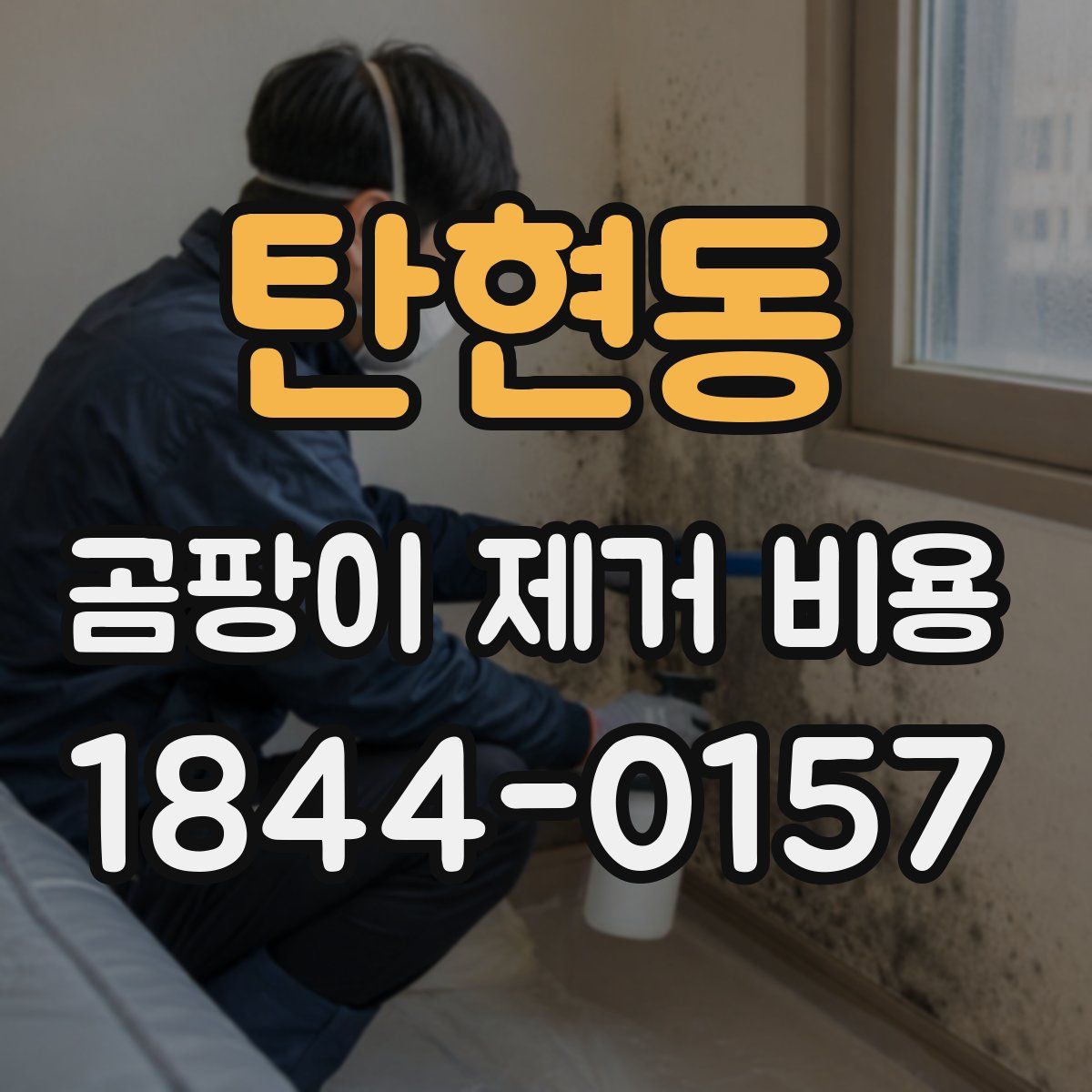 탄현동 곰팡이 제거 비용