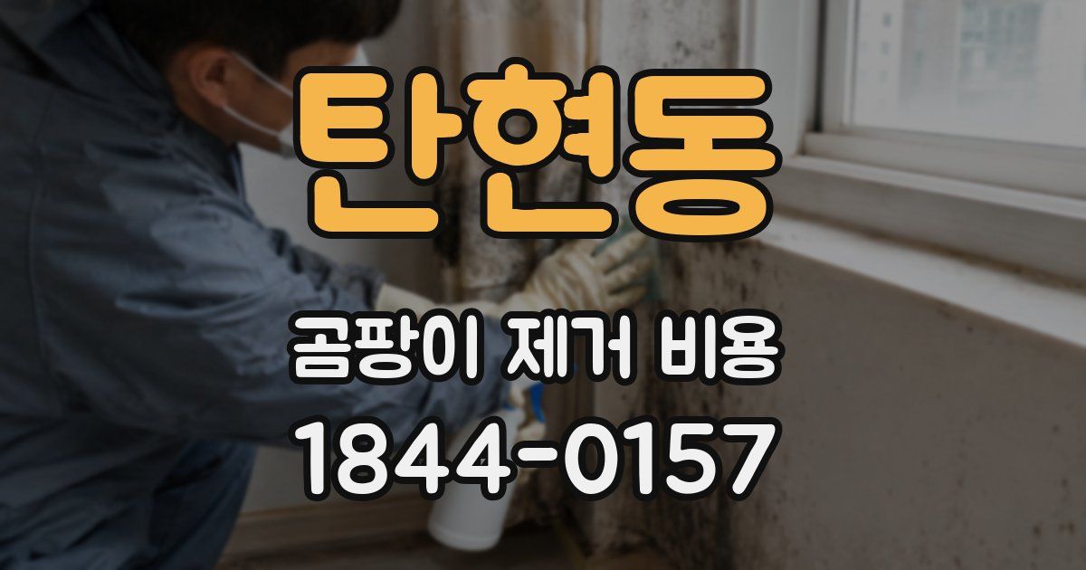 탄현동 곰팡이 제거 비용
