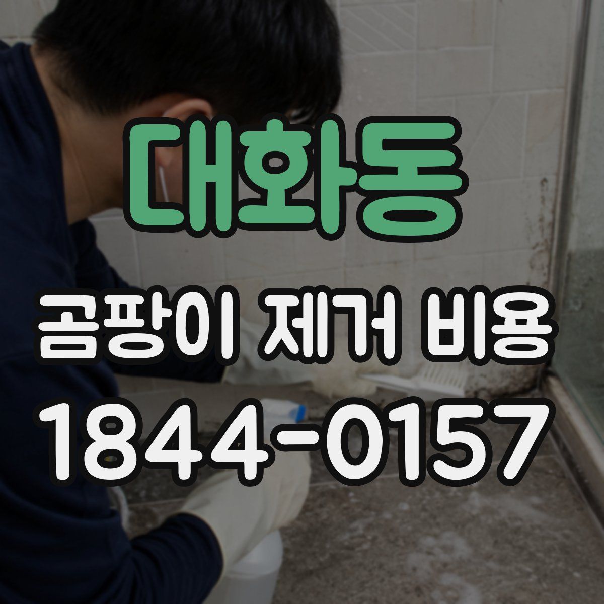 대화동 곰팡이 제거 비용