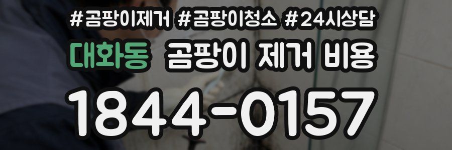 대화동 곰팡이 제거 비용