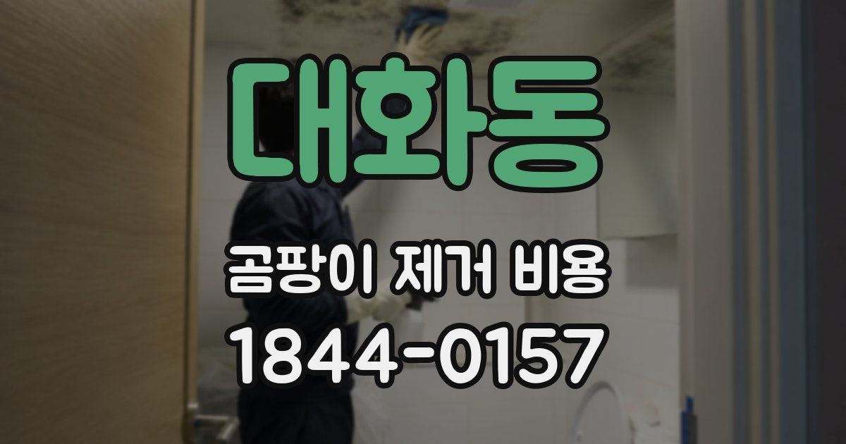 대화동 곰팡이 제거 비용